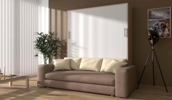 Шкаф-кровать с диваном Флау BMS - новинка