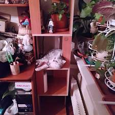 Стеллаж №3 058 BMS