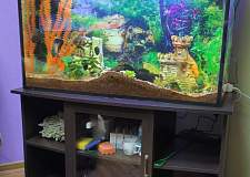 Тумба под аквариум Lux 100 BMS