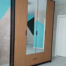 Распашной шкаф Доминика 5 BMS