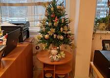 Стол журнальный Омега BMS