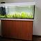 Тумба под аквариум Rio 240 SBX BMS