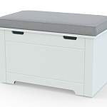 Сундук RE Vibe BMS - Фото 1