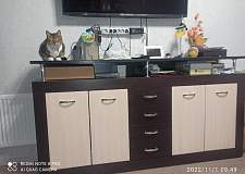 Комод Астера-6 BMS