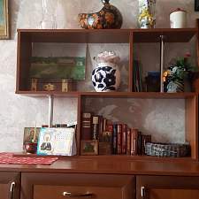 Полка Практик-9 BMS