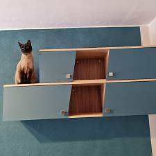 Полка Долли 5 BMS