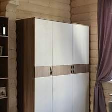 Распашной шкаф Селена Evo 2 BMS