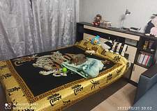 Кровать Виктория 2 BMS