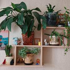 Стеллаж П-01.1 BMS