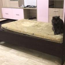 Кровать Рено 2 BMS