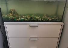 Комод АСК-3 BMS