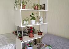 Стеллаж Бруна С4 BMS