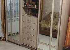 Шкаф-купе Джулия BMS