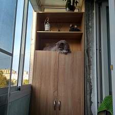 Стеллаж комбинированный Примо 1 BMS